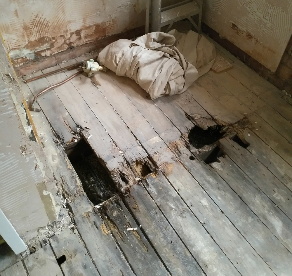 Blocking TikTok At Domain-Level